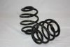 AUTOMEGA 3004240293 Coil Spring